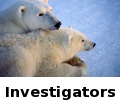investigators