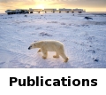 publications